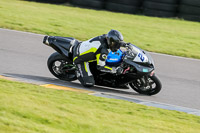 PJ-Motorsport-2019;anglesey-no-limits-trackday;anglesey-photographs;anglesey-trackday-photographs;enduro-digital-images;event-digital-images;eventdigitalimages;no-limits-trackdays;peter-wileman-photography;racing-digital-images;trac-mon;trackday-digital-images;trackday-photos;ty-croes
